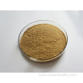 Hot Selling Natural Seaweed Extract Powder